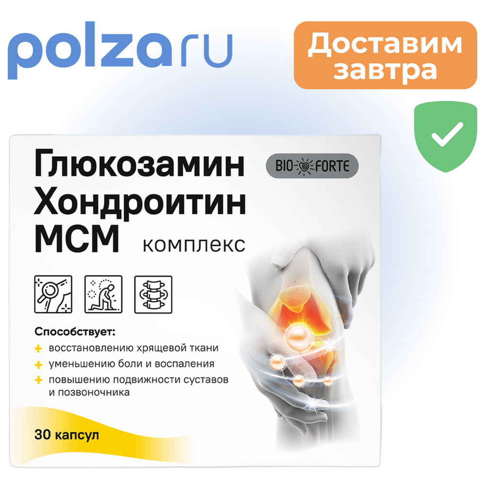 

Глюкозамин Хондроитин МСМ BioForte, капсулы, 30 шт.