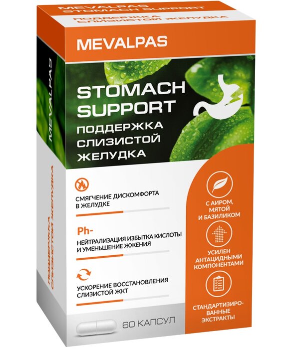 Мевалпас комплекс для поддержки слизистой желудка капс 60 шт Mevalpas Stomach support