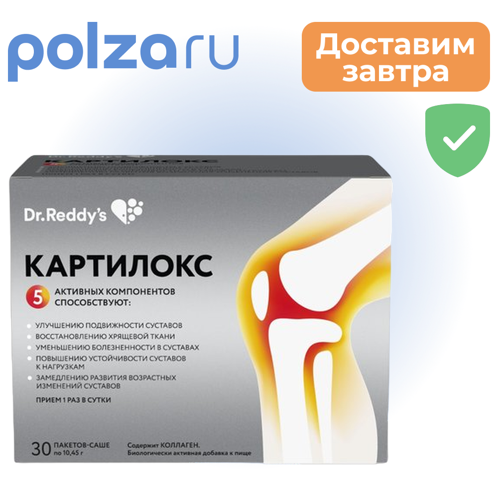 

Картилокс, порошок, саше-пакет, 30 шт.