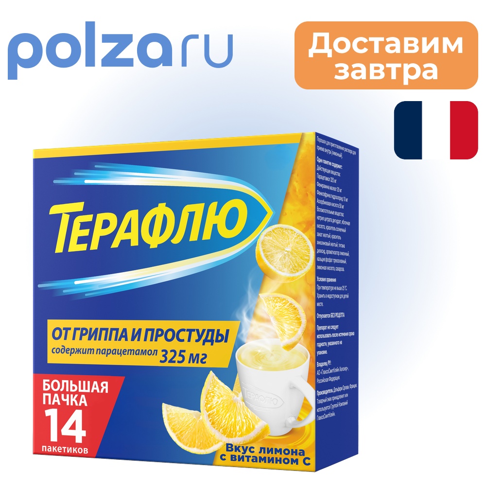 

Терафлю, порошок, 325 мг+20 мг+10 мг+50 мг