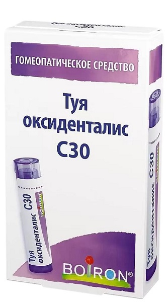 Туя оксиденталис С30, гранулы, 4 г оциллококцинум гранулы гомеопатические 1 г 30 шт