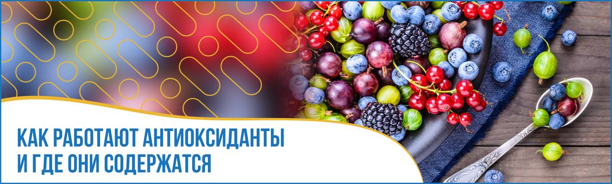 Что такое антиоксиданты и где они содержатся Что такое антиоксиданты и где они содержатся