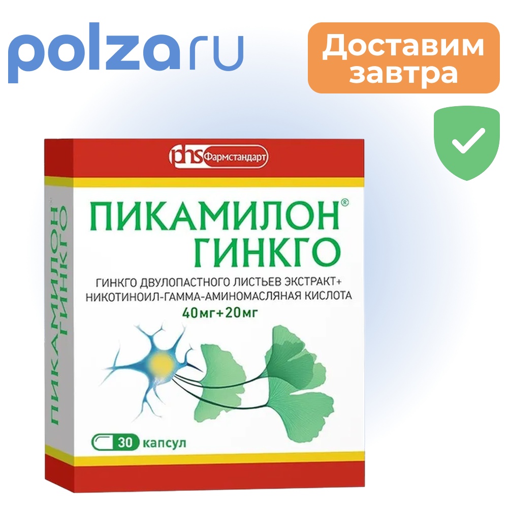 

Пикамилон Гинкго, капсулы 40 мг+20 мг, 30 шт.