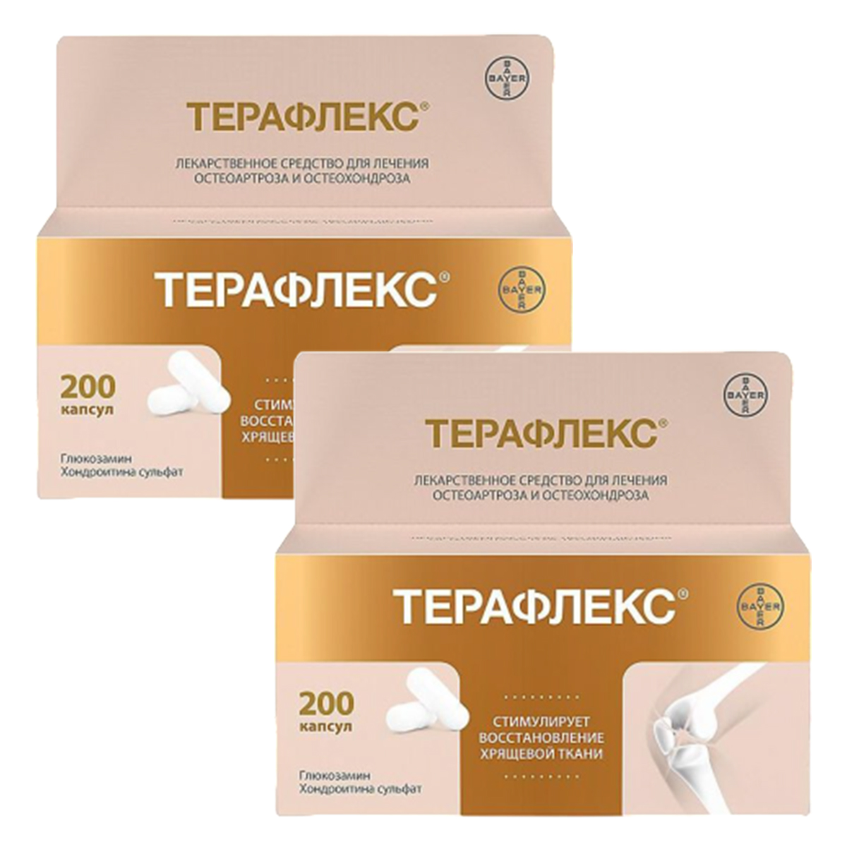 

Набор 2уп Терафлекс капсулы 500+400мг 200шт