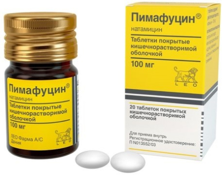 Пимафуцин, таблетки покрыт. плен. об. 100 мг, 20 шт. (арт. 201075)